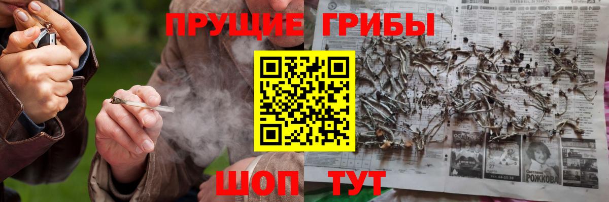 Псилоцибиновые грибы Psilocybe Волжский