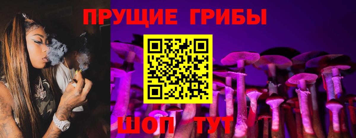 Псилоцибиновые грибы Psilocybine cubensis  Вход с VPN  Волжский 